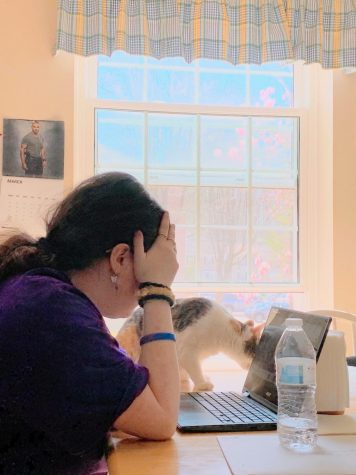 Maddy Feldwick sits at her kitchen table for school, feeling stressed during a google meet. Penny, her cat, helps her get through her classes. 
