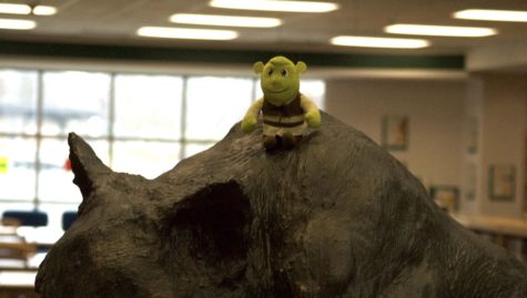 Shrek sitting on top of the wildecat. 