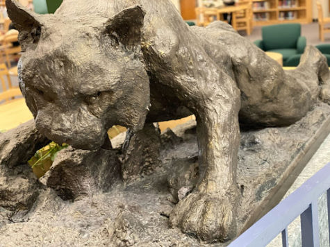 The wildecat statue, built out of paper-mache by then-senior Kurt
Muller in 1998, sits outside of the media center. 