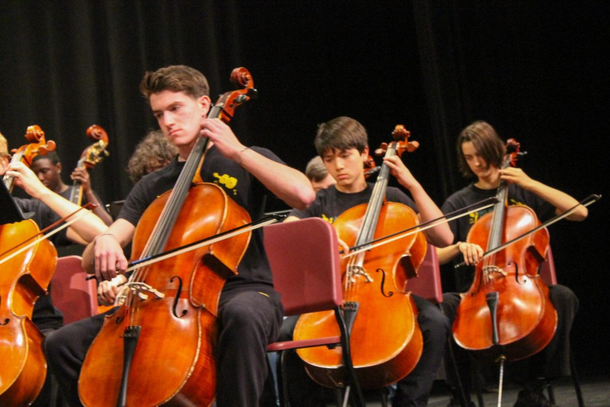 COLUMBIA, MARYLAND, OCTOBER 11, 2024 - GT Orchestra member Keegan Collins-McCarthy plays his cello at the Hispanic Heritage Month Assembly. He aims to spread joy through music.